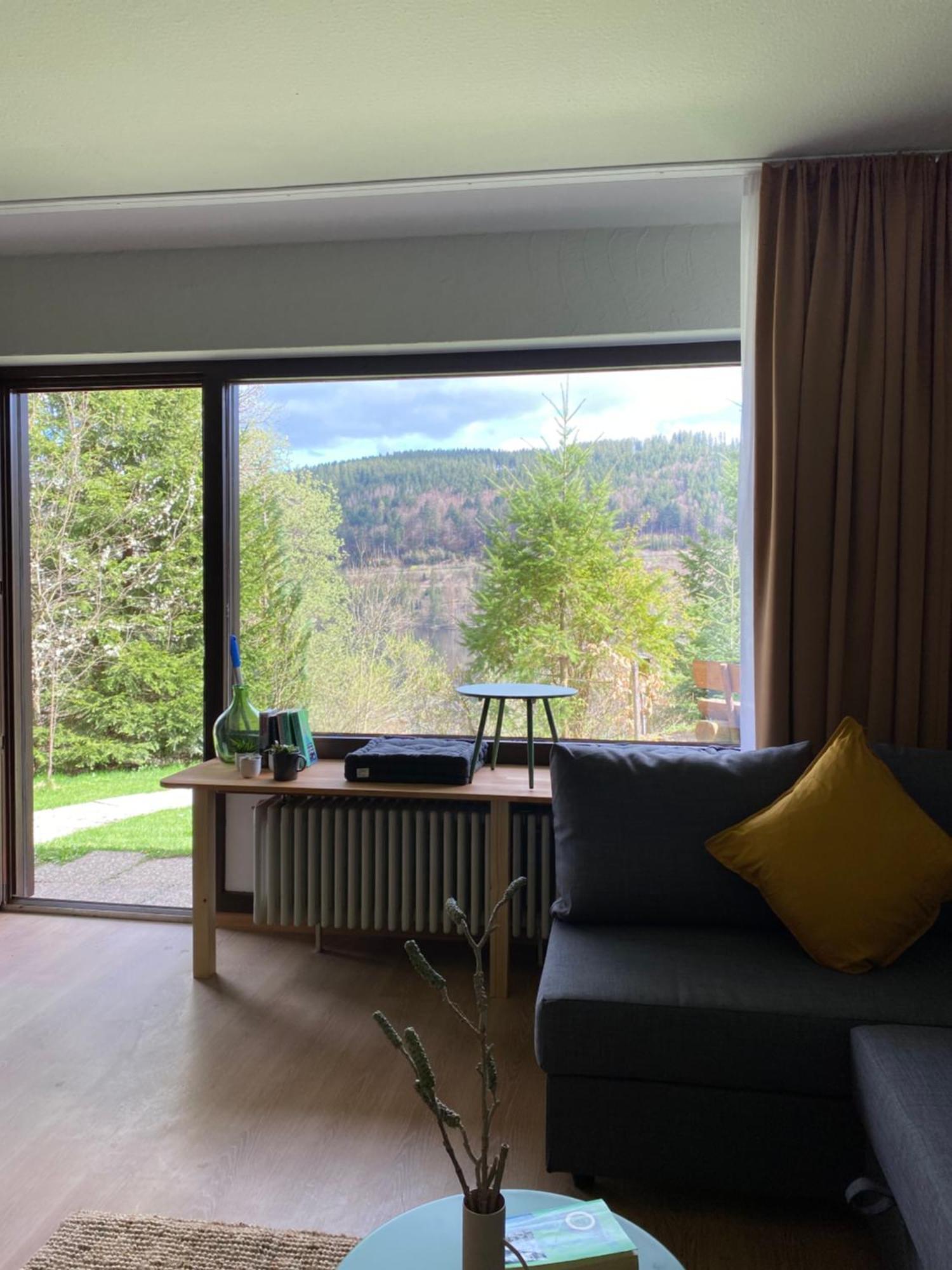 Black Forest Apartments Titisee 外观 照片