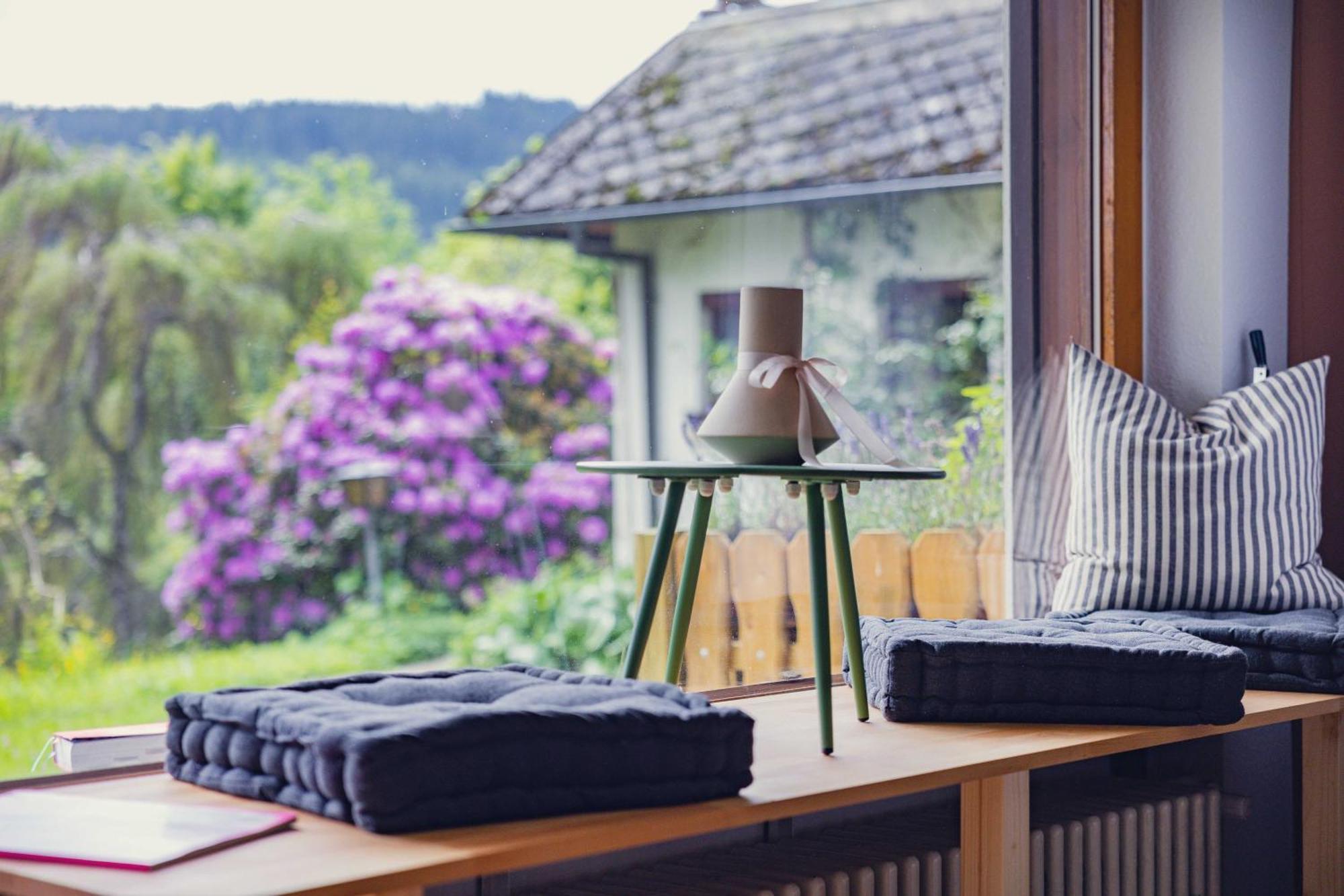 Black Forest Apartments Titisee 外观 照片