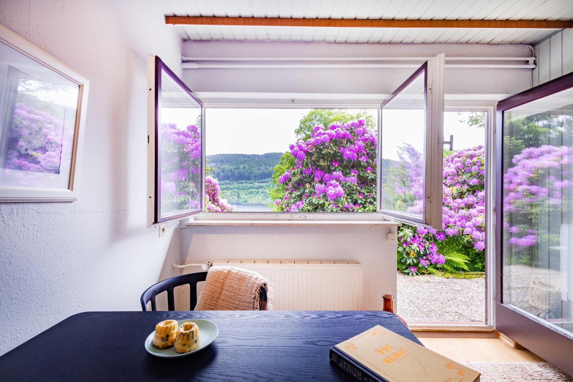 Black Forest Apartments Titisee 外观 照片